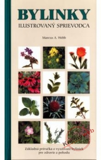 Bylinky Ilustrovaný sprievodca