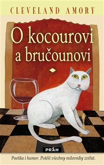O kocourovi a Bručounovi