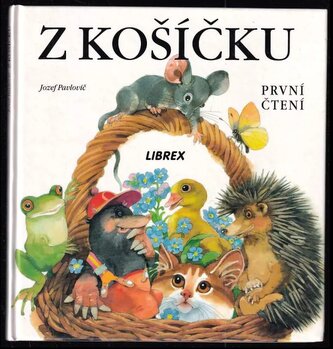 Z košíčku