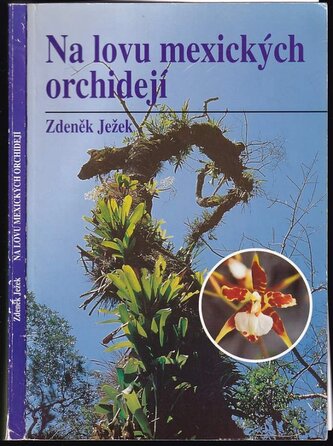 Na lovu mexických orchidejí