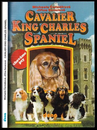 Cavalier King Charles Spaniel