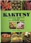 Kaktusy