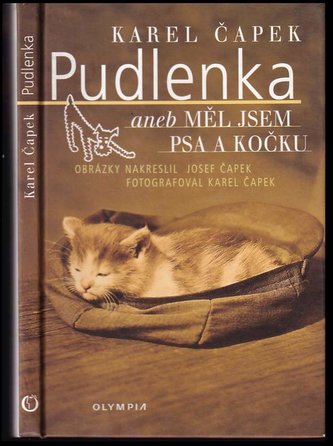 Pudlenka aneb měl jsem psa
