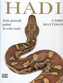 Hadi