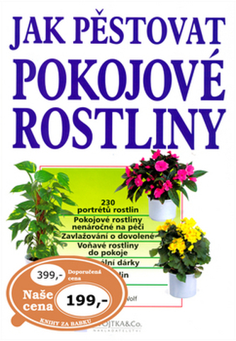 Jak pěstovat pokojové rostliny
