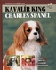 Kavalír King Charles Španěl
