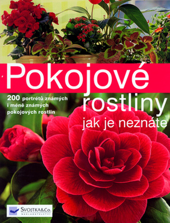 Pokojové rostliny jak je neznáte