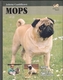 Mops