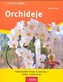 Orchideje