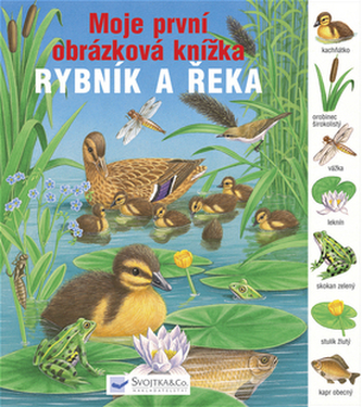 Rybník a řeka Moje první obrázková knížka
