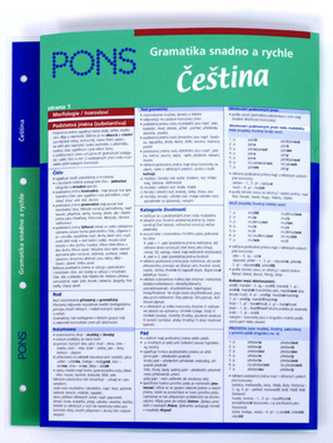 Gramatika snadno a rychle - Čeština
