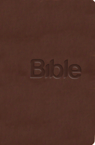 Bible Překlad 21. století