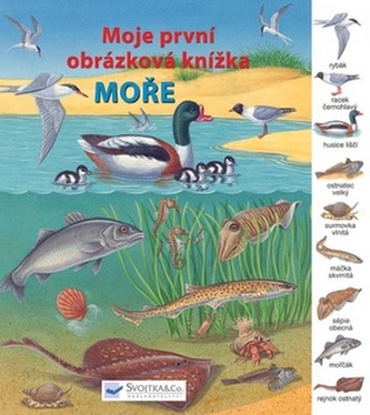 Moře - Moje první obrázková knížka