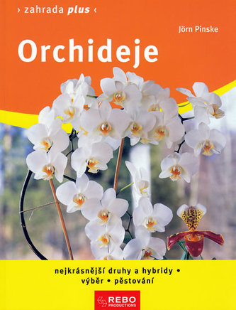 Orchideje