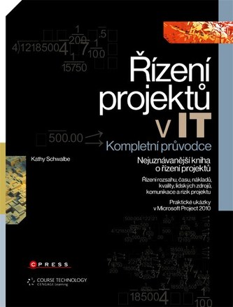 Řízení projektu v IT