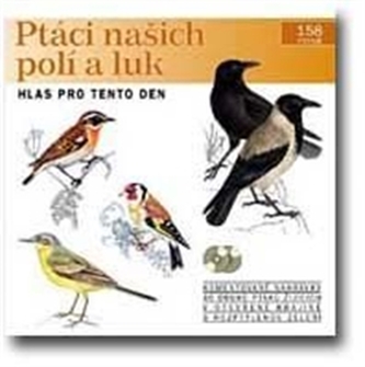 Ptáci našich polí a luk Ptáci našich polí a luk