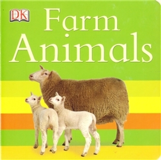 Farm Animals Farm Animals